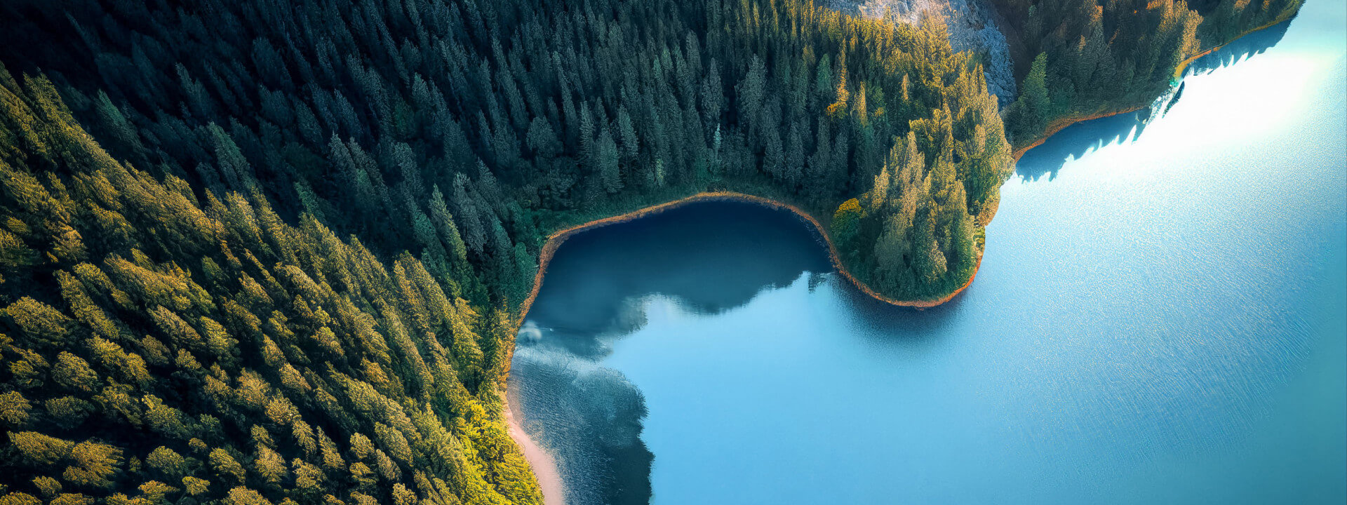 test idloom demo cover image